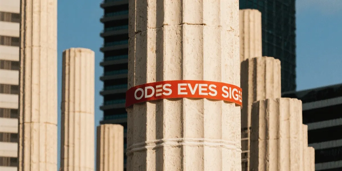 单双大小形态图